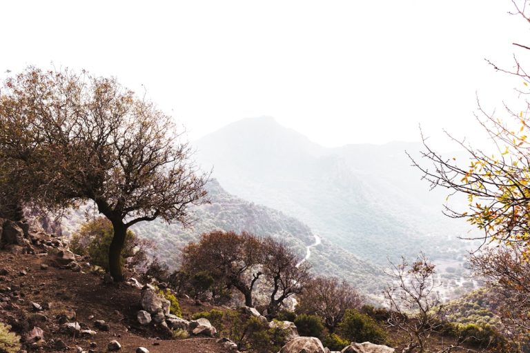 Unleashing the Wanderlust: A Journey into the Wild