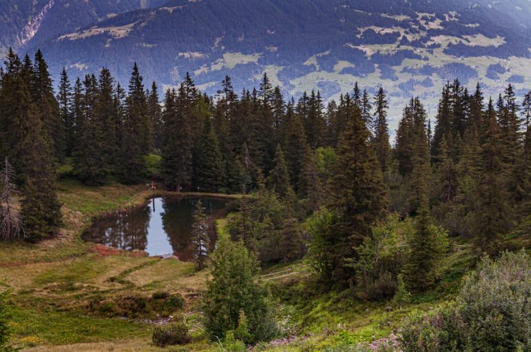The Thrill of Off-the-Grid Adventures: Embracing the Unknown